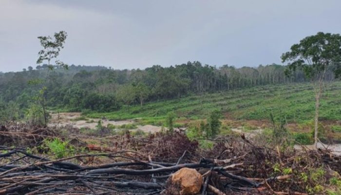 Gakkum KLHK Kejar Buronan Tersangka Perambah Hutan di Kabupaten Bangka