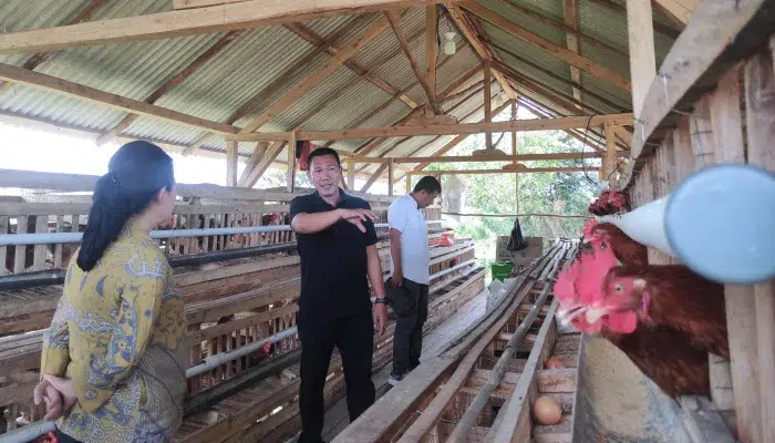 Wujudkan Ketahanan Pangan, Dandim Sebmy Setiawan Ajak Masyarakat Budidaya Ayam Petelur