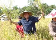 Semangat Petani Dusun Air Asam Bikin Gubernur Terinspirasi