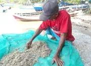 Nelayan Beriga hingga Rias Terhimpit Persoalan Tambang, Tata Kelola Resmi Jadi Harapan