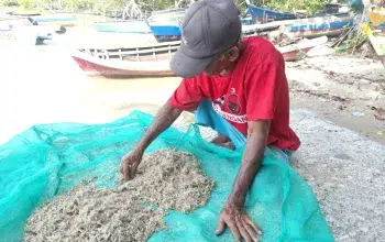 Nelayan Beriga hingga Rias Terhimpit Persoalan Tambang, Tata Kelola Resmi Jadi Harapan