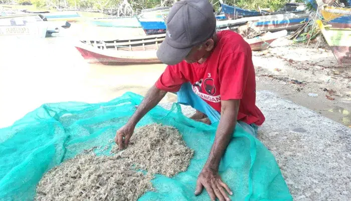 Nelayan Beriga hingga Rias Terhimpit Persoalan Tambang, Tata Kelola Resmi Jadi Harapan