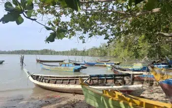Tambang Timah Ilegal Babel: Menimbang Kerugian Negara, Lingkungan, dan Kepentingan Rakyat