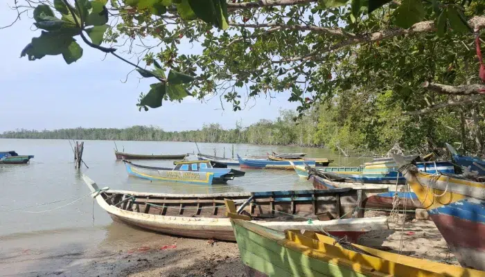Tambang Timah Ilegal Babel: Menimbang Kerugian Negara, Lingkungan, dan Kepentingan Rakyat